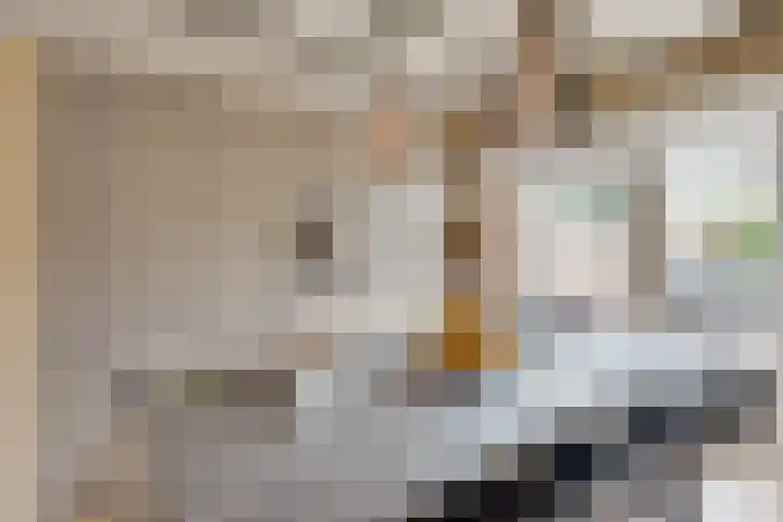 Wilhelminastraat 5 Den Bommel thumbnail 21
