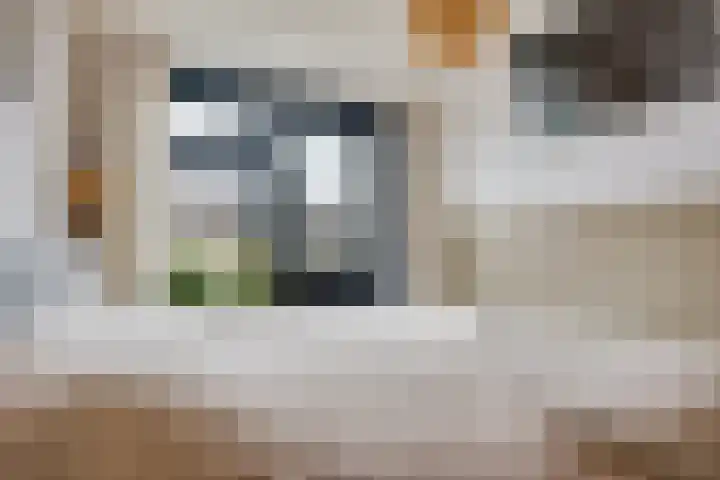 Wilhelminastraat 5 Den Bommel thumbnail 34