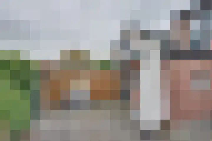 Wilhelminastraat 5 Den Bommel thumbnail 44