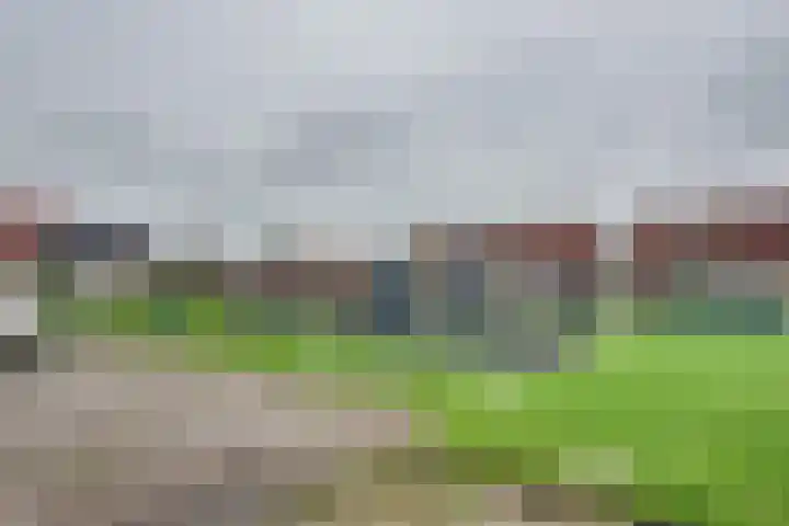 Wilhelminastraat 5 Den Bommel thumbnail 45