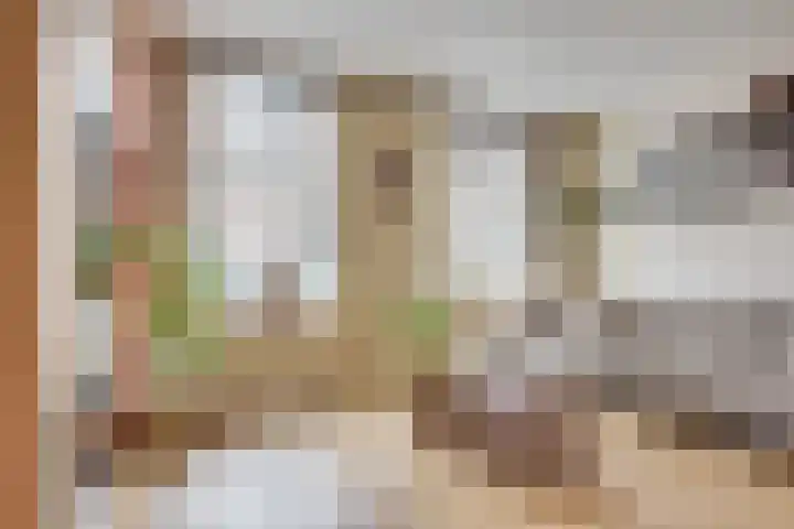 Wilhelminastraat 5 Den Bommel thumbnail 7
