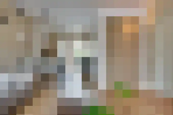 Wilhelminastraat 5 Den Bommel thumbnail 8