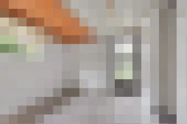 Wilhelminastraat 5 Didam thumbnail 12