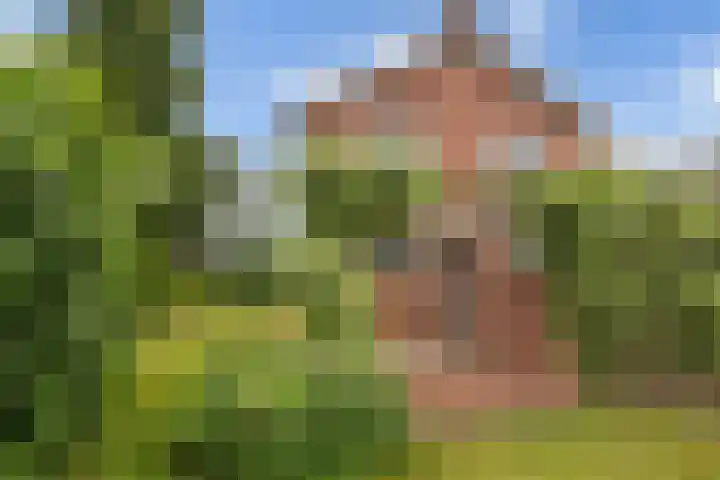 Wilhelminastraat 5 Didam thumbnail 21