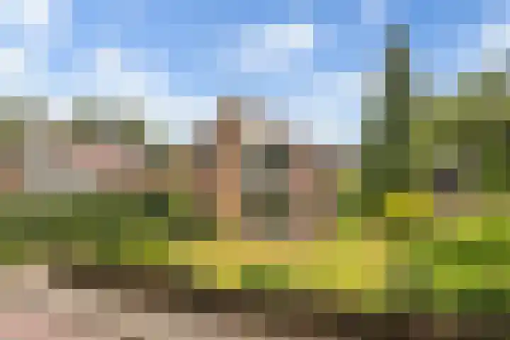 Wilhelminastraat 5 Didam thumbnail 22