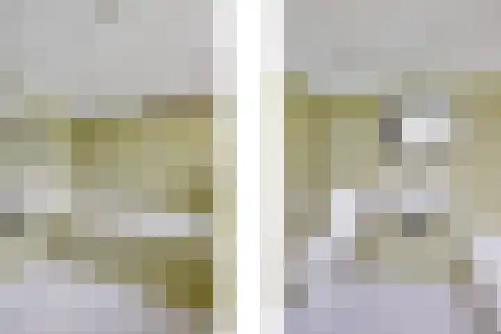 Wilhelminastraat 5 Didam thumbnail 8