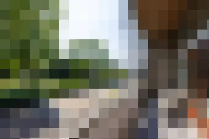 Wilhelminastraat 5 Rhoon thumbnail 11