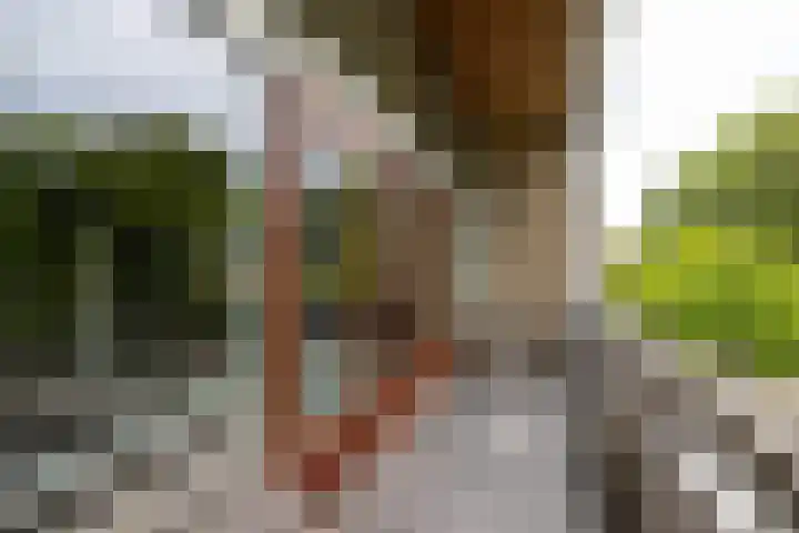 Wilhelminastraat 5 Rhoon thumbnail 12