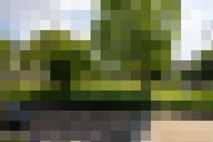 Wilhelminastraat 5 Rhoon thumbnail 13