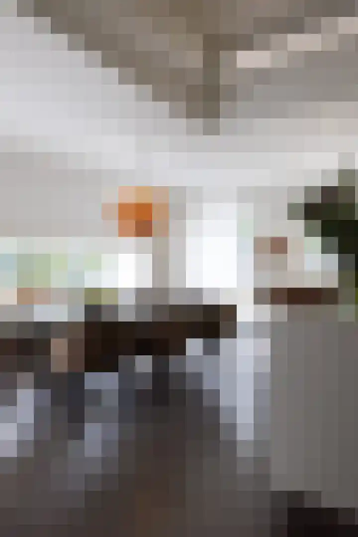 Wilhelminastraat 5 Rhoon thumbnail 17