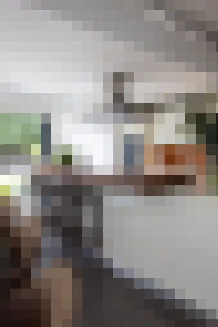 Wilhelminastraat 5 Rhoon thumbnail 20