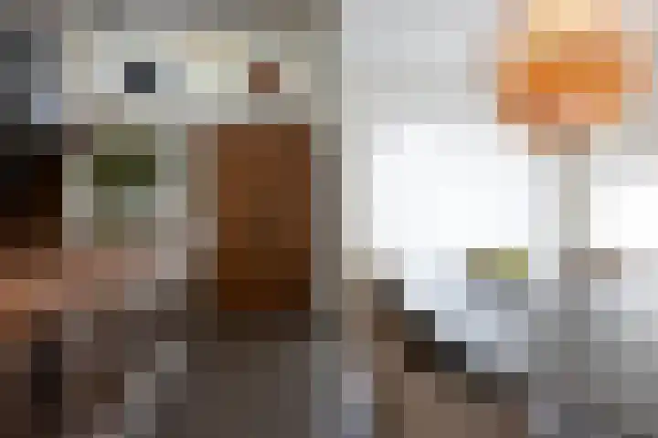 Wilhelminastraat 5 Rhoon thumbnail 23