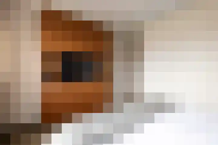 Wilhelminastraat 5 Rhoon thumbnail 27