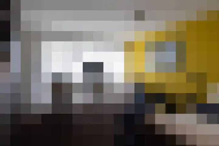 Wilhelminastraat 5 Rhoon thumbnail 32