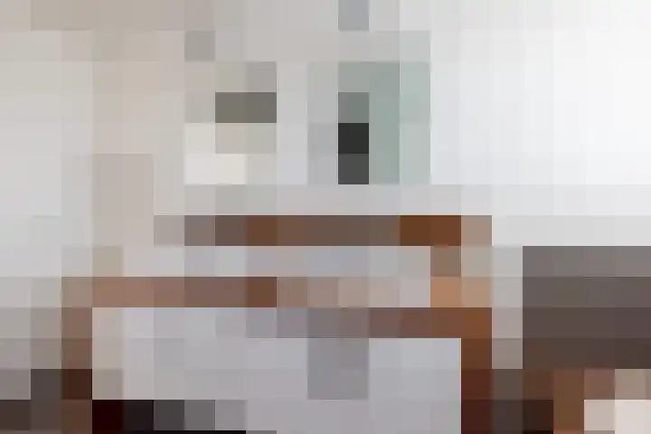 Wilhelminastraat 5 Rhoon thumbnail 38