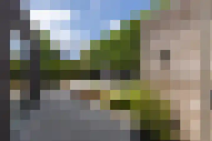 Wilhelminastraat 5 Rhoon thumbnail 41