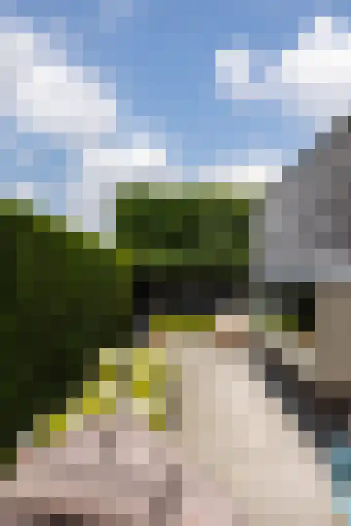 Wilhelminastraat 5 Rhoon thumbnail 45