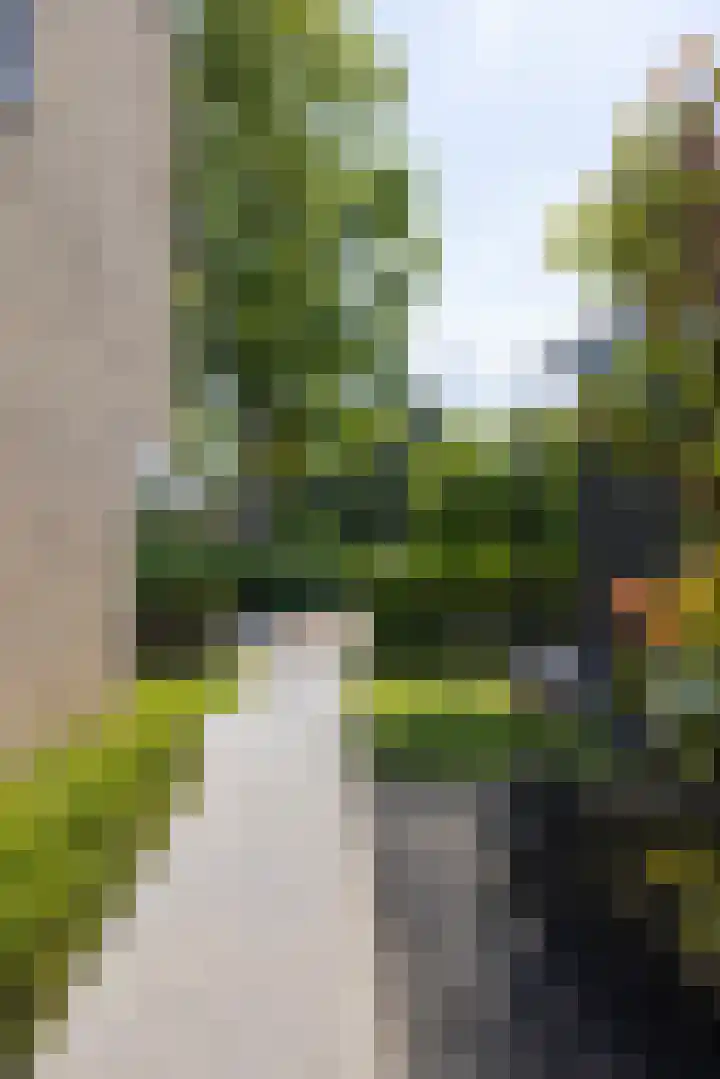 Wilhelminastraat 5 Rhoon thumbnail 46