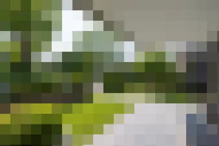 Wilhelminastraat 5 Rhoon thumbnail 47
