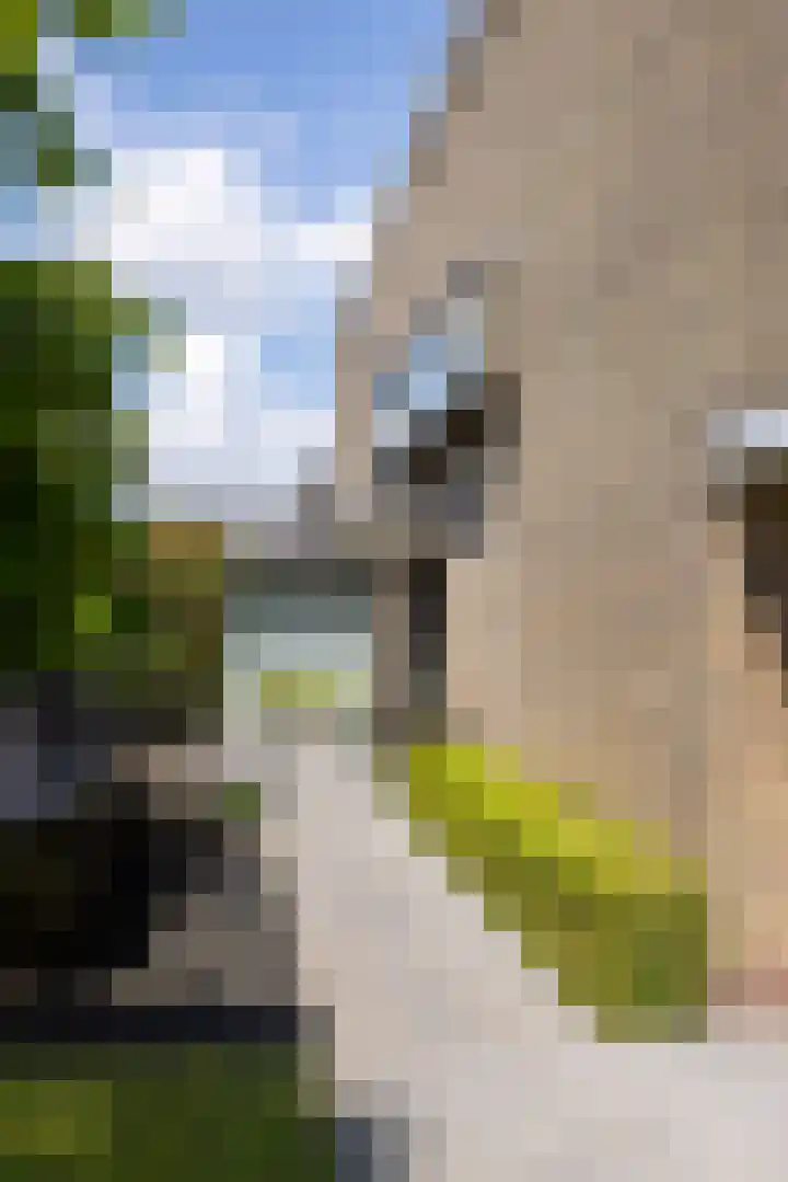 Wilhelminastraat 5 Rhoon thumbnail 48