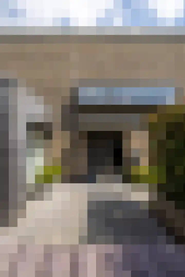 Wilhelminastraat 5 Rhoon thumbnail 49