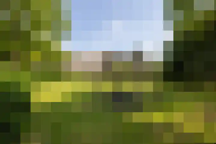 Wilhelminastraat 5 Rhoon thumbnail 55