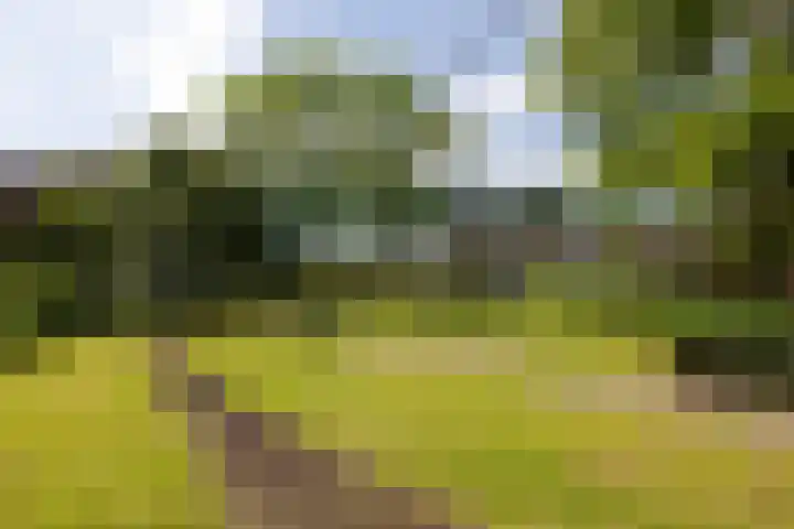 Wilhelminastraat 5 Rhoon thumbnail 56