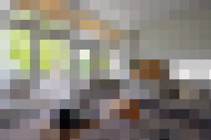 Wilhelminastraat 5 Rhoon thumbnail 9