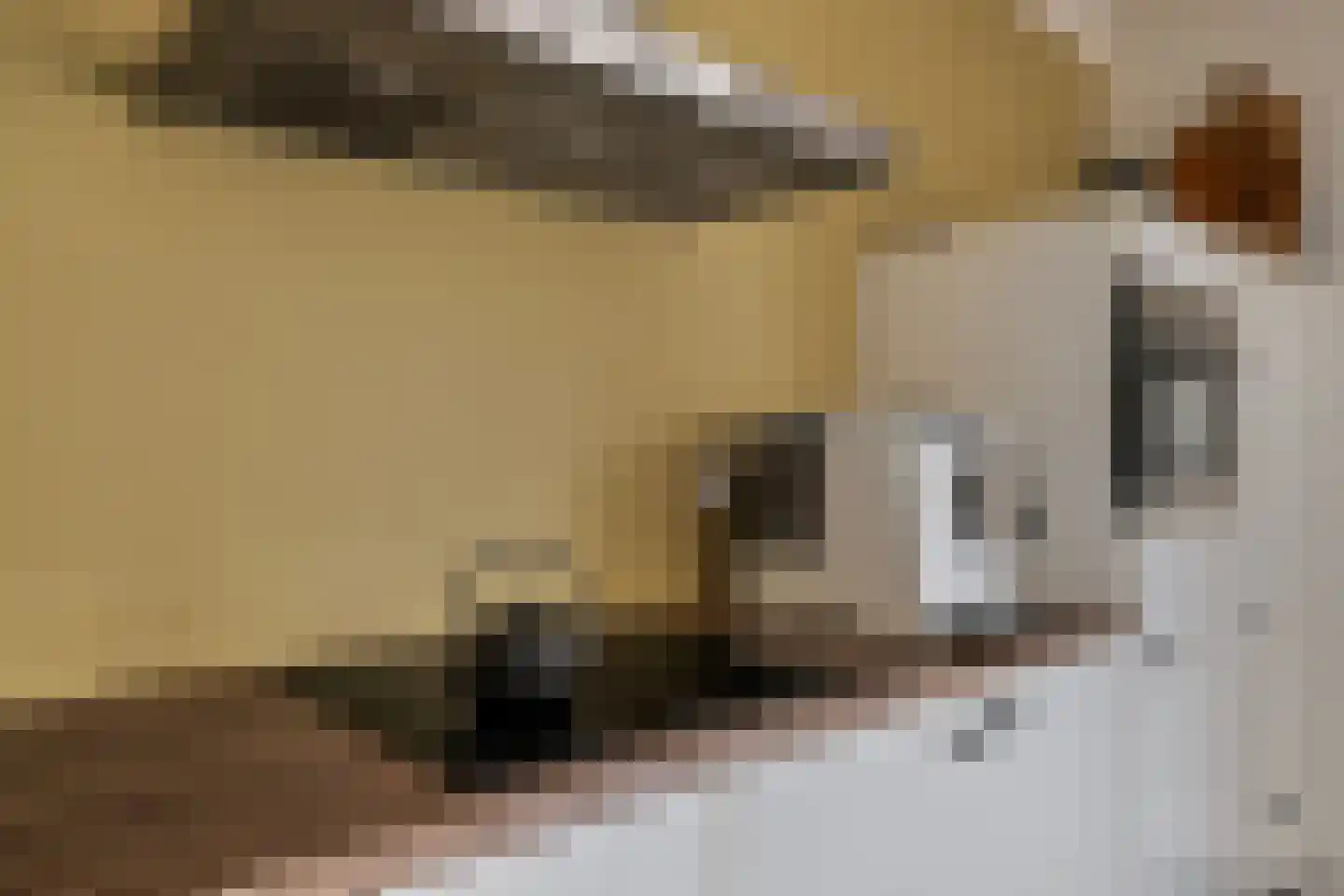Wilhelminastraat 5 Scherpenisse thumbnail 13