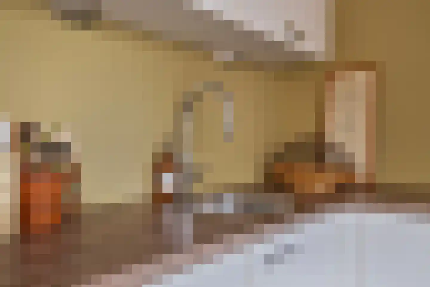 Wilhelminastraat 5 Scherpenisse thumbnail 14