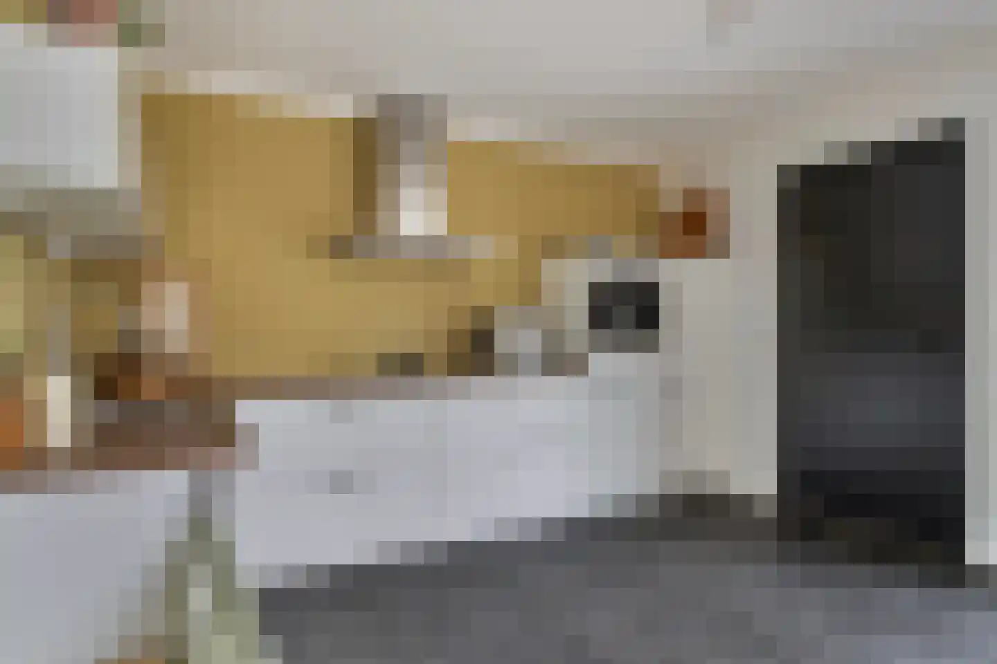 Wilhelminastraat 5 Scherpenisse thumbnail 15