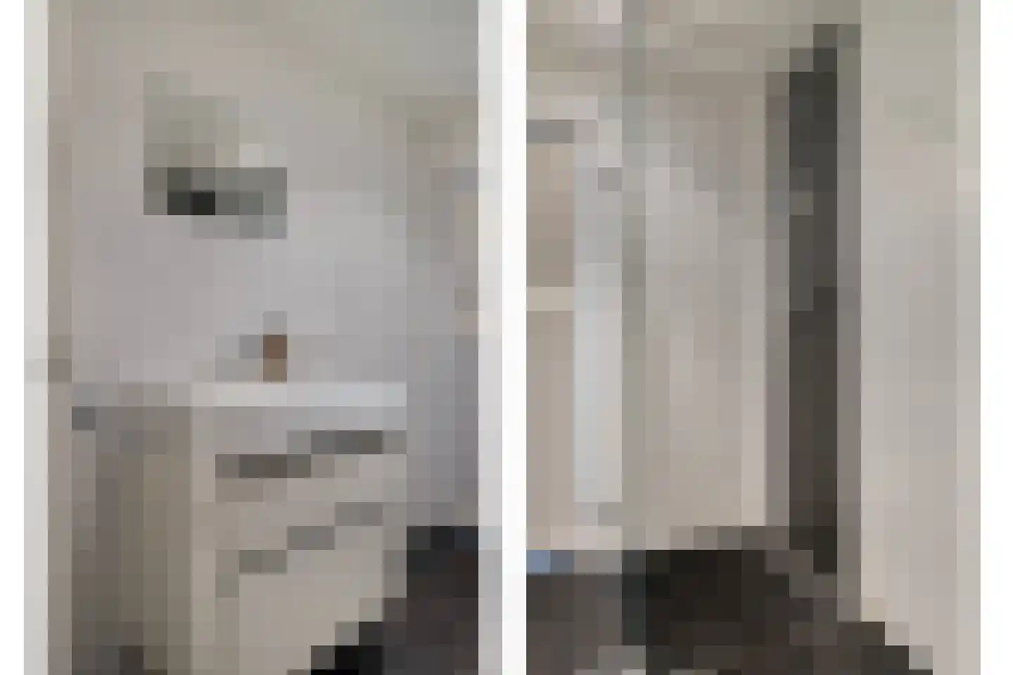 Wilhelminastraat 5 Scherpenisse thumbnail 19