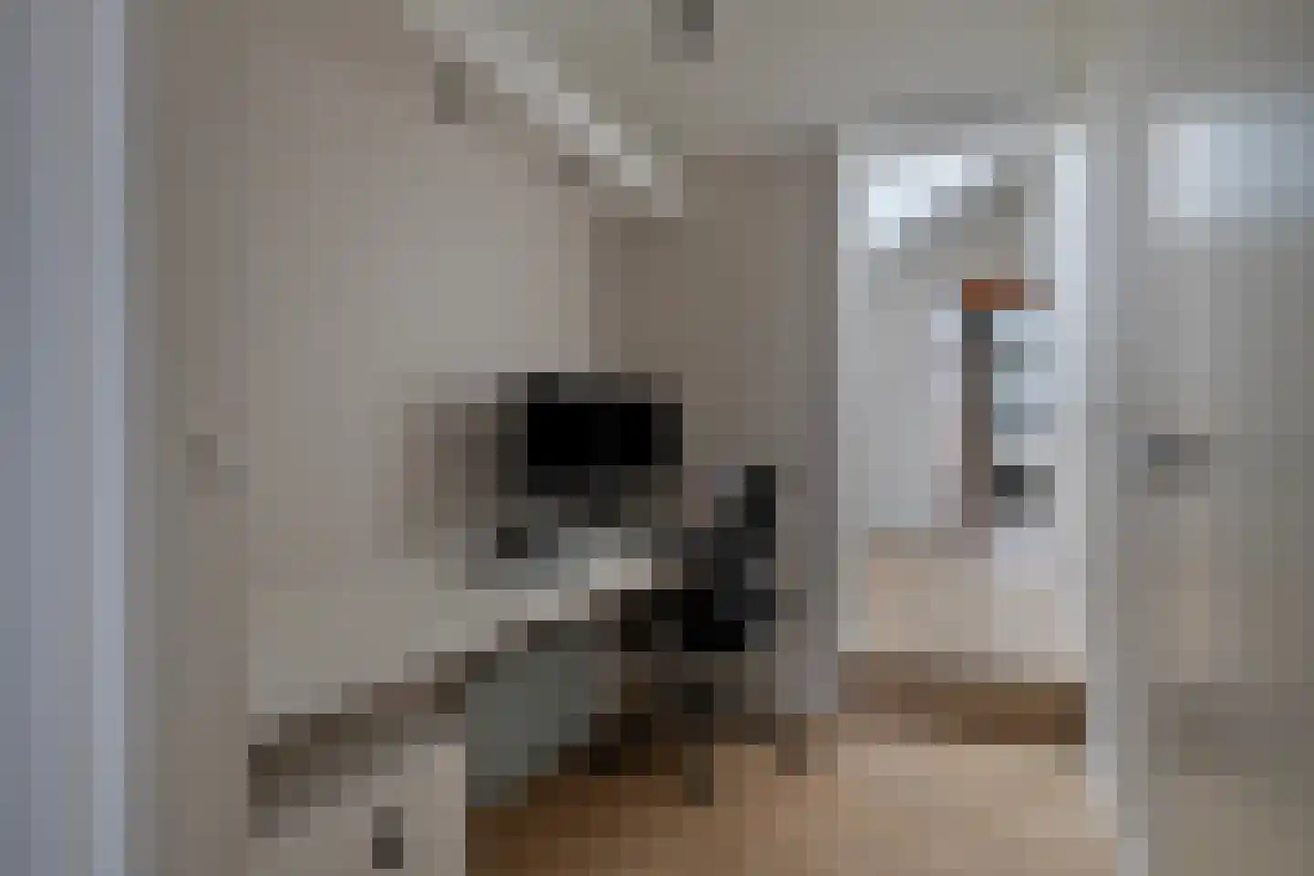 Wilhelminastraat 5 Scherpenisse thumbnail 21