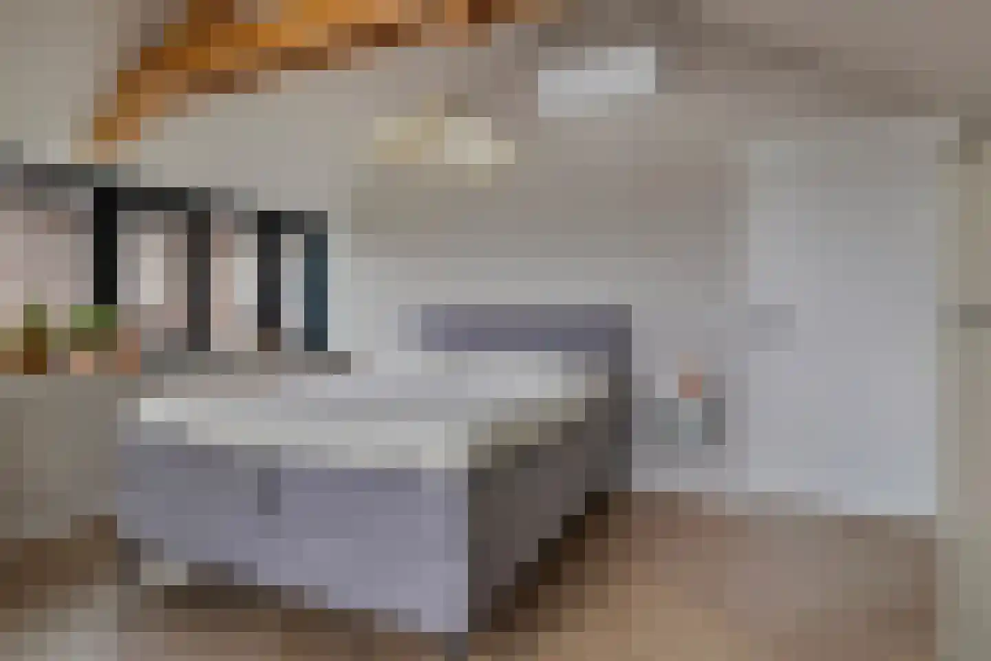 Wilhelminastraat 5 Scherpenisse thumbnail 23