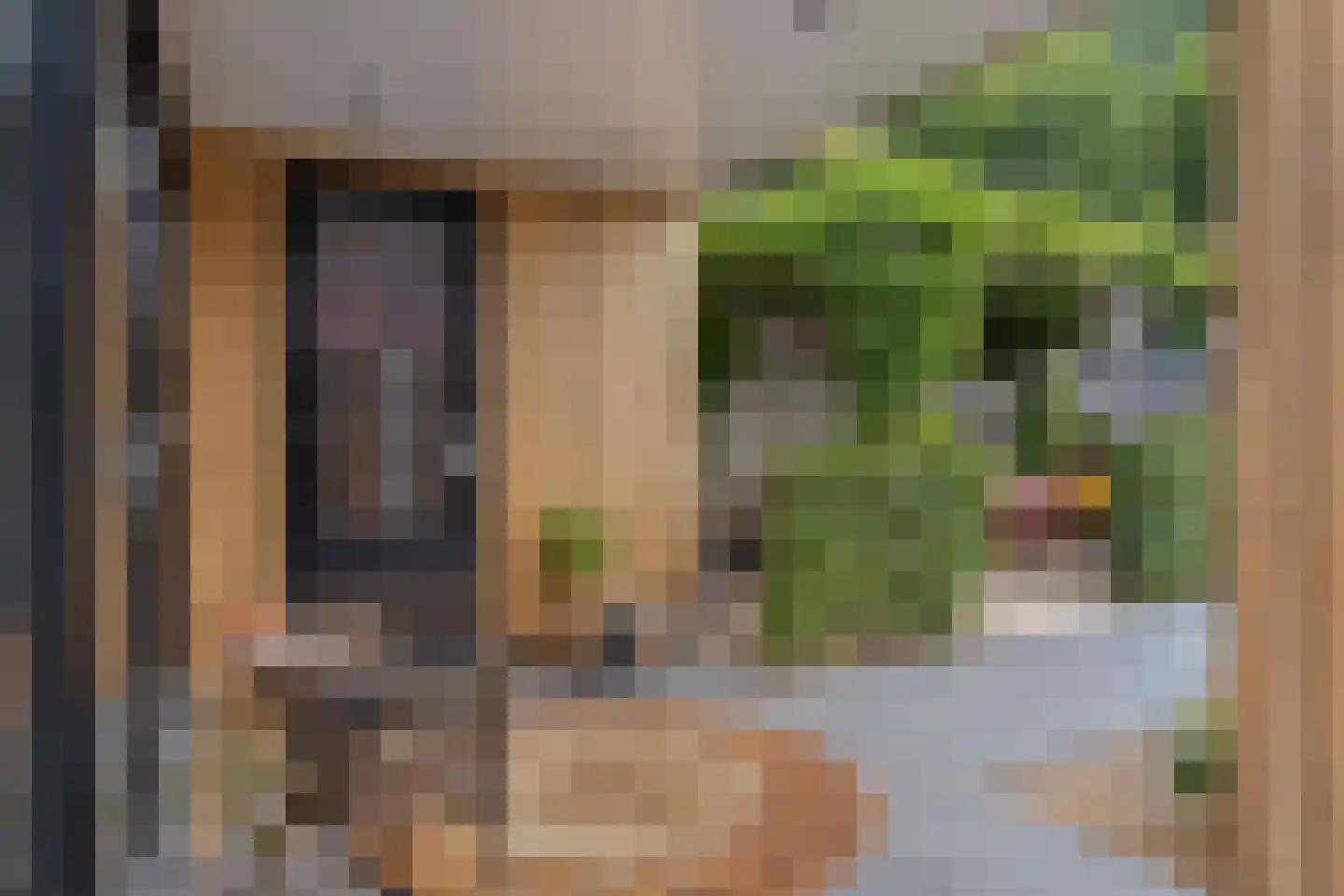 Wilhelminastraat 5 Scherpenisse thumbnail 33