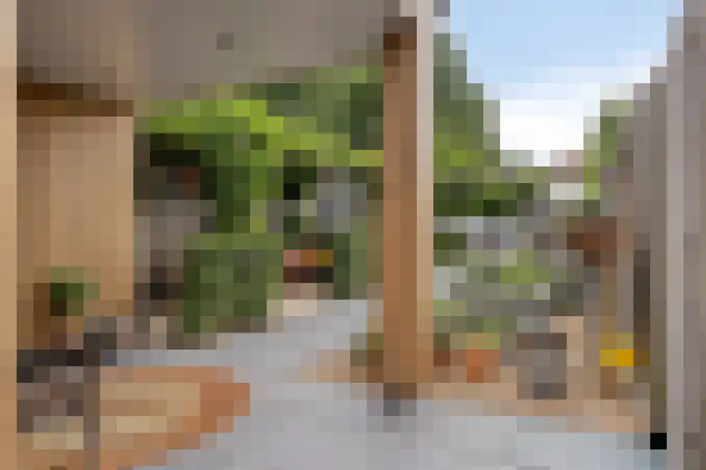 Wilhelminastraat 5 Scherpenisse thumbnail 34