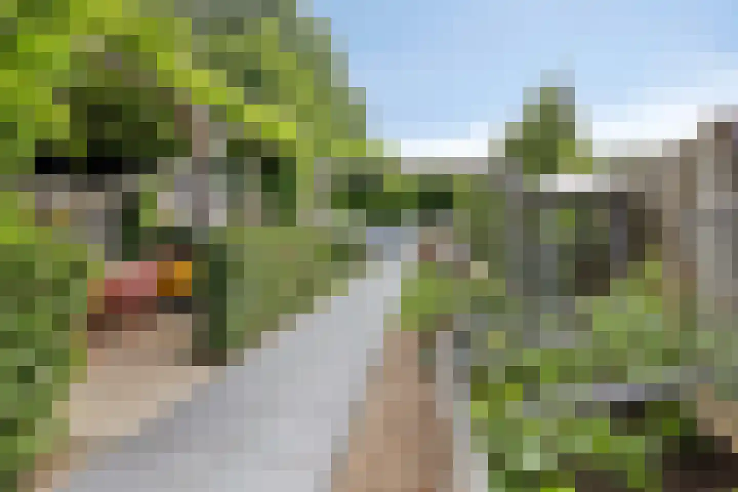 Wilhelminastraat 5 Scherpenisse thumbnail 36