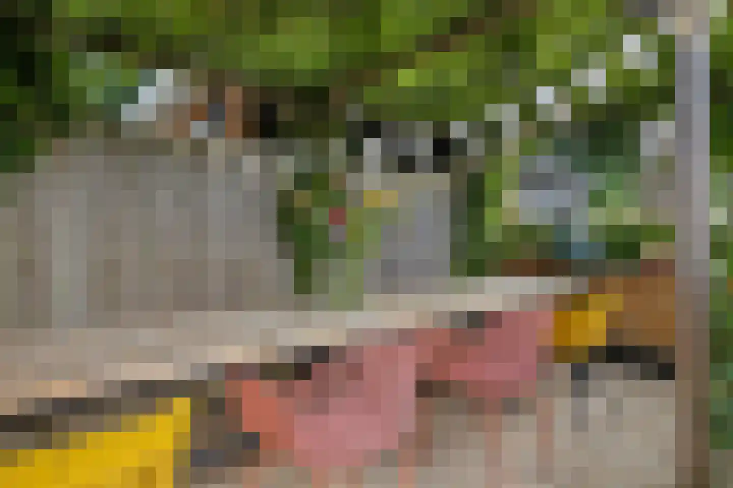 Wilhelminastraat 5 Scherpenisse thumbnail 38