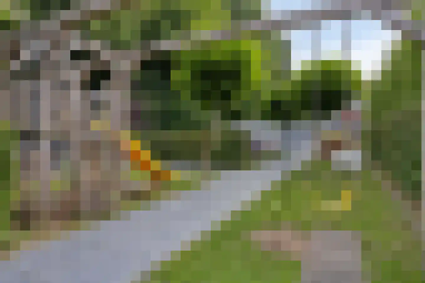 Wilhelminastraat 5 Scherpenisse thumbnail 40