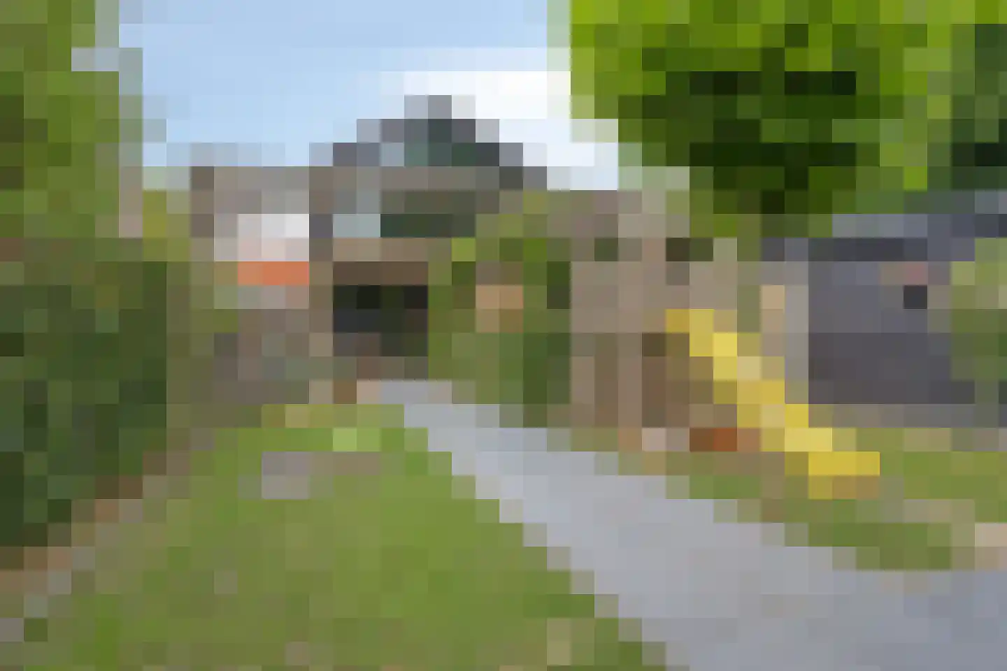 Wilhelminastraat 5 Scherpenisse thumbnail 41