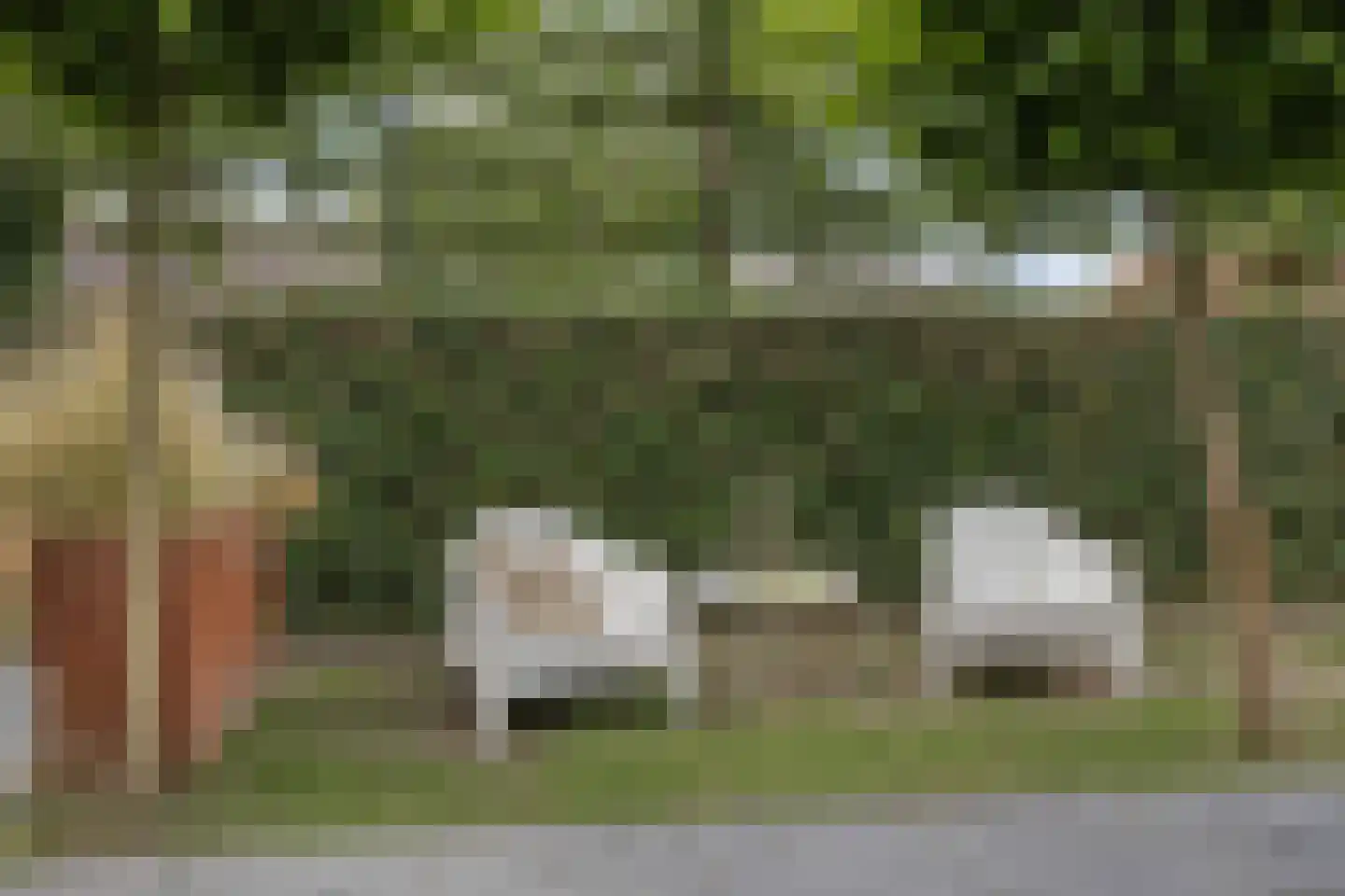 Wilhelminastraat 5 Scherpenisse thumbnail 43