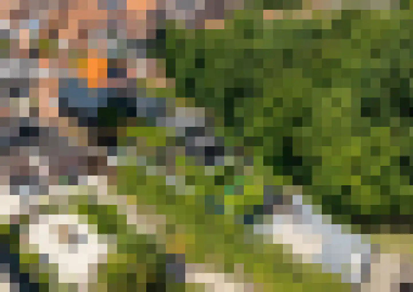 Wilhelminastraat 5 Scherpenisse thumbnail 45