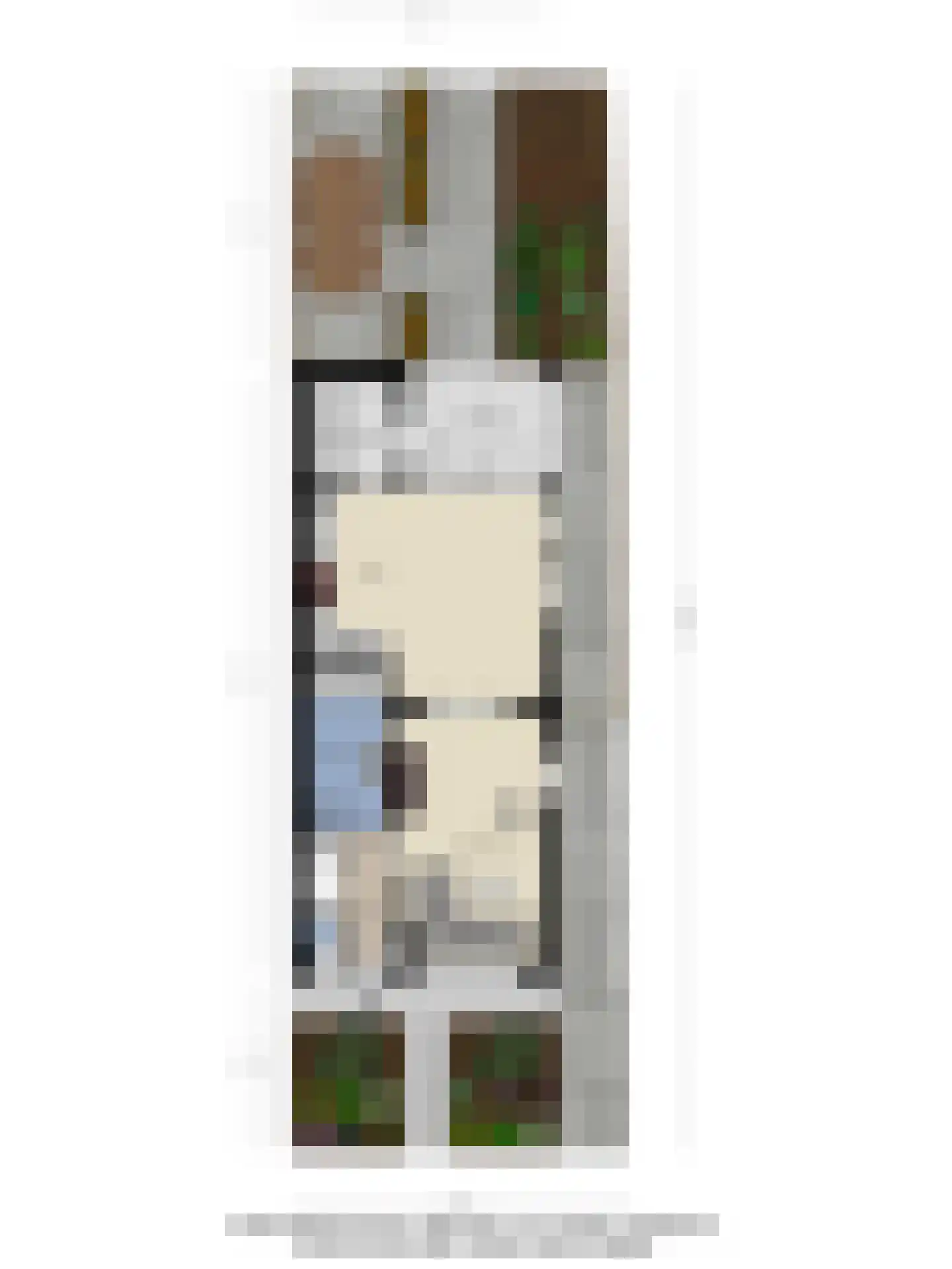 Wilhelminastraat 5 Scherpenisse thumbnail 51