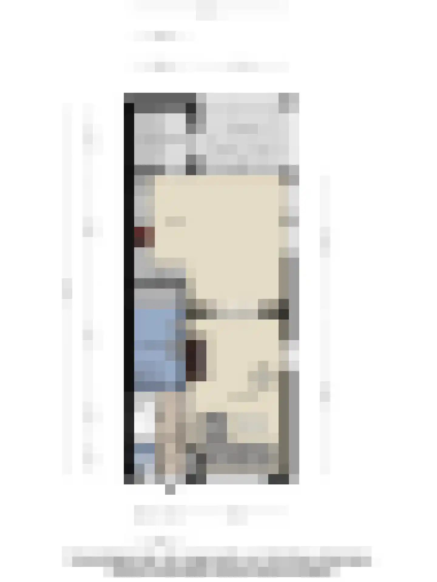 Wilhelminastraat 5 Scherpenisse thumbnail 52