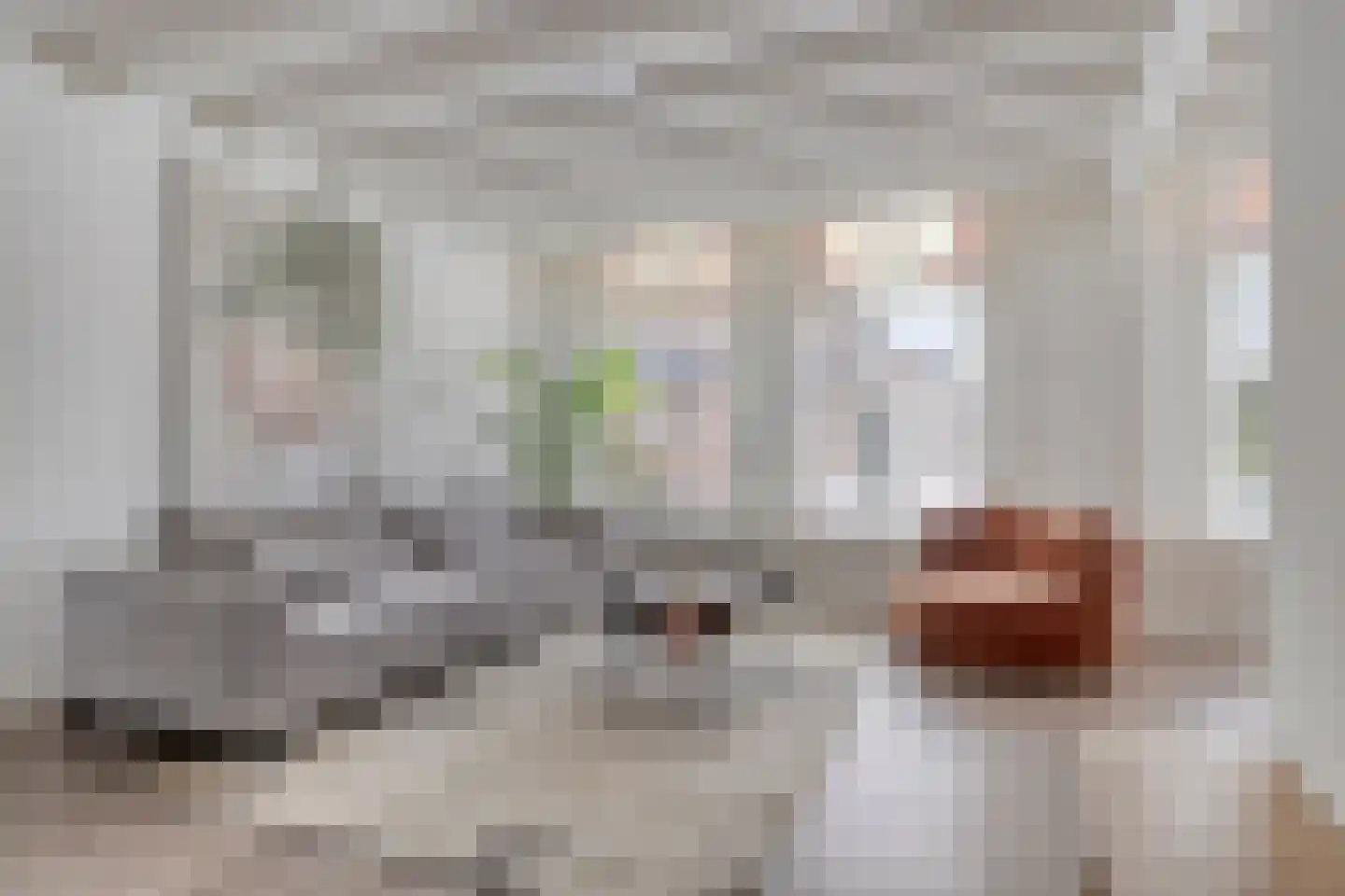 Wilhelminastraat 50 A Breda thumbnail 9