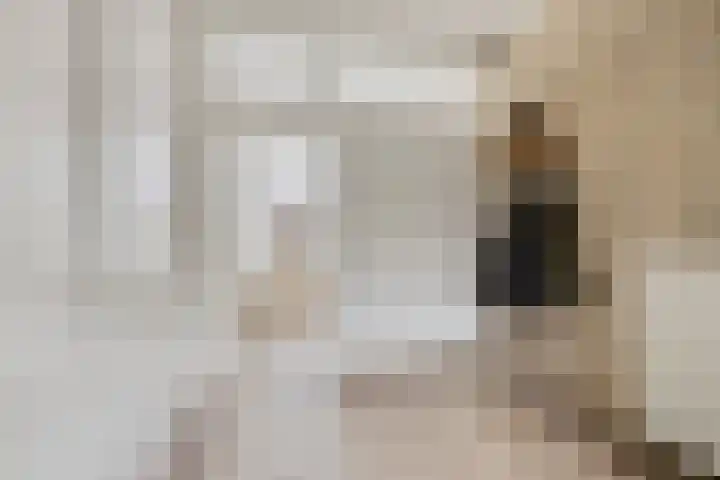 Wilhelminastraat 50 Didam thumbnail 11