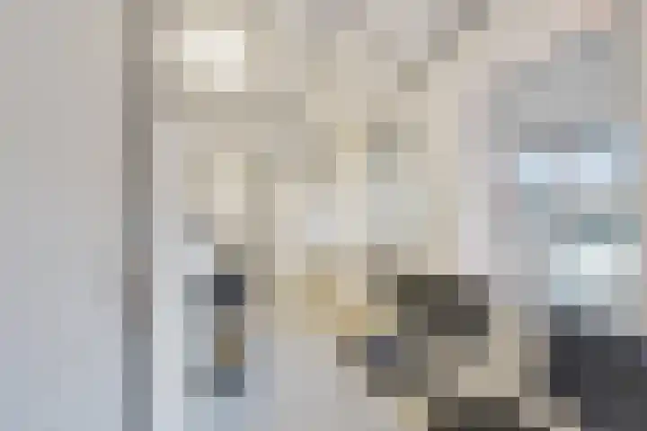 Wilhelminastraat 50 Didam thumbnail 12