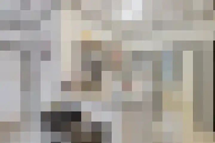 Wilhelminastraat 50 Didam thumbnail 13