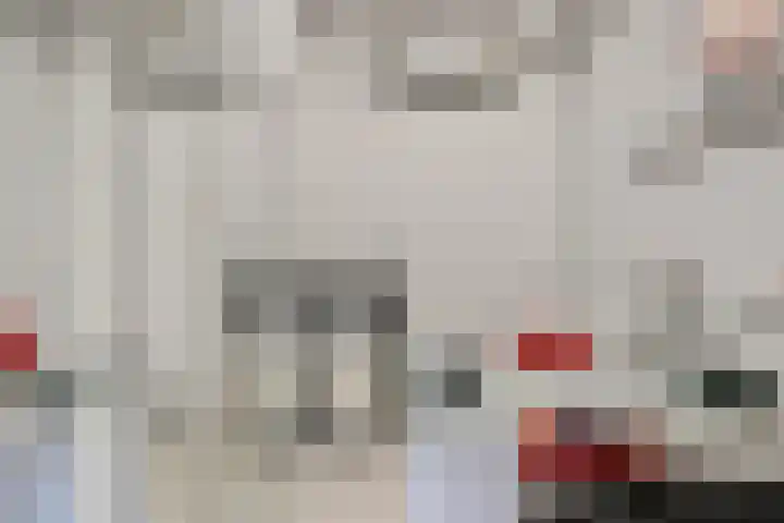 Wilhelminastraat 50 Didam thumbnail 15