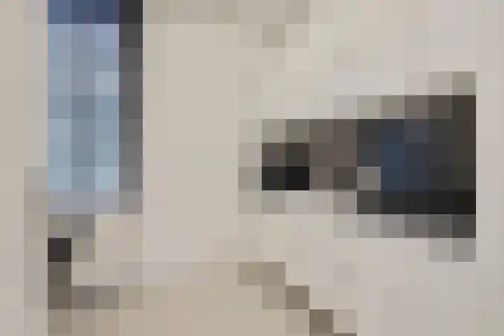 Wilhelminastraat 50 Didam thumbnail 17